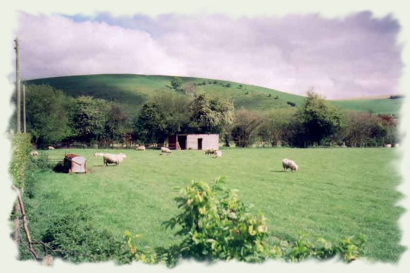 View of Park Hill from Chalet garden