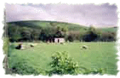 View of Park Hill from Chalet garden