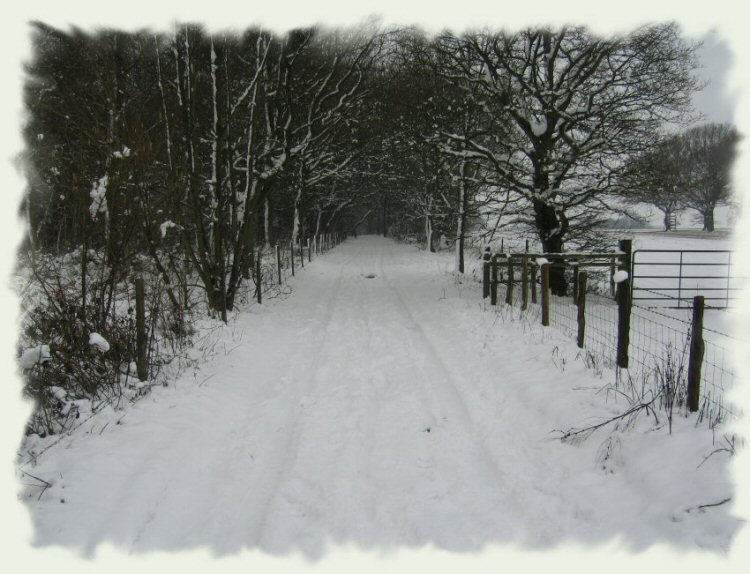 South Downs Way near East Meon