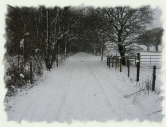 South Downs Way near East Meon