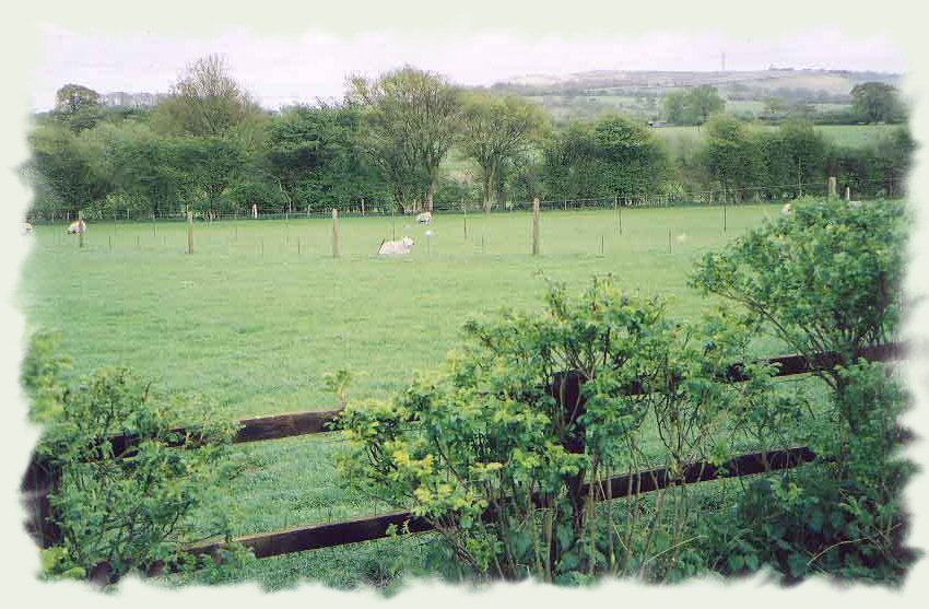 View from Chalet onto Downs