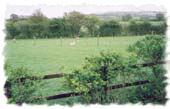 View from Chalet onto Downs