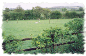 View from chalet onto Downs