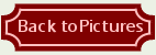Back to Picture Gallery