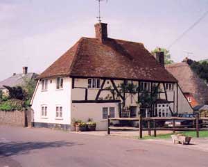 Birding in East Meon